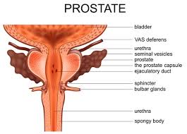 prostate treatment